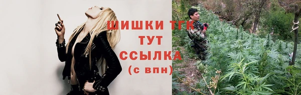 a pvp Ельня