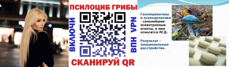 Псилоцибиновые грибы MAGIC MUSHROOMS  где можно купить наркотик  Соль-Илецк 