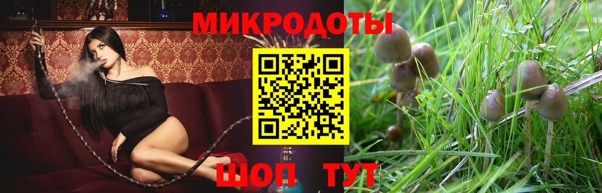 Соль-Илецк  Псилоцибиновые грибы Psilocybine cubensis  Галлюциногенные грибы ЛСД  купить наркотик  Вход с VPN 