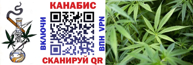 Каннабис OG Kush Соль-Илецк